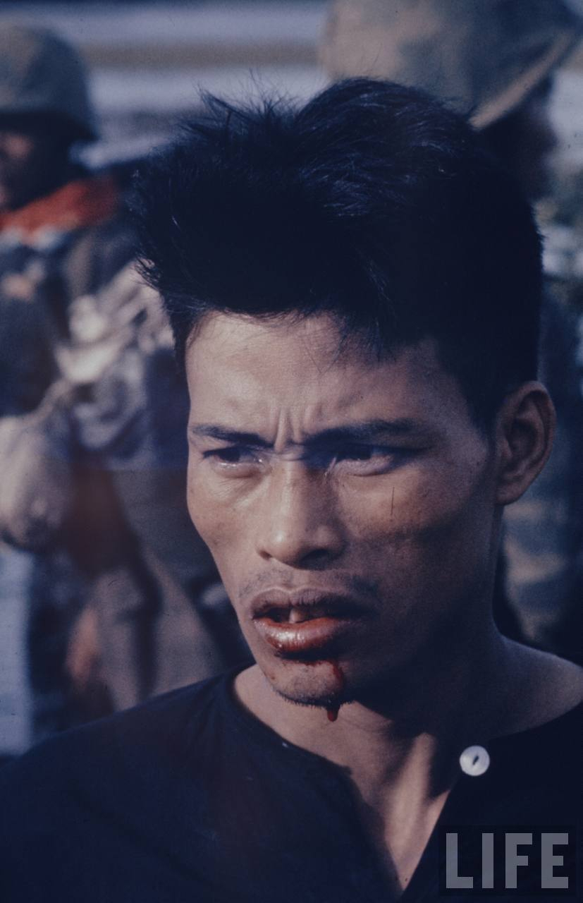 Sự Bùng Nổ Của Video Ngắn và Trí Tuệ Nhân Tạo: Vai Trò Thiết Yếu Của Đào Tạo Kỹ Năng Sáng Tạo Nội Dung